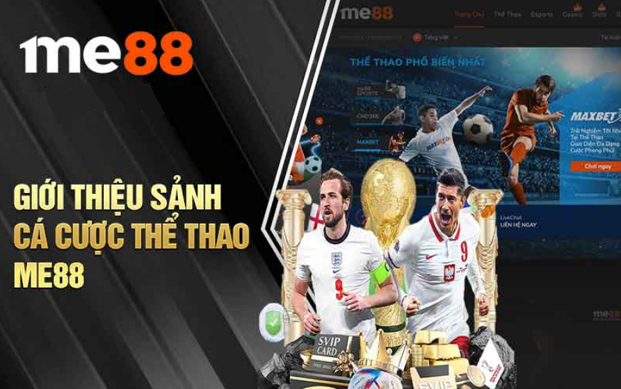 Đôi nét về Thể Thao Me88